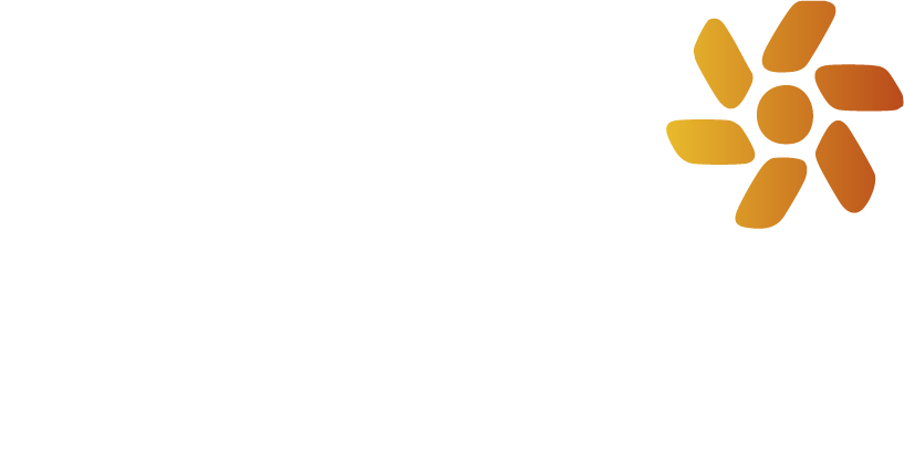 Volti